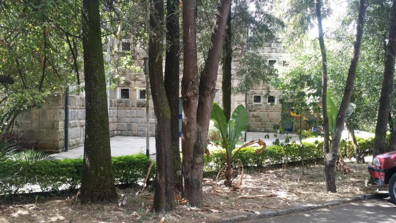 Ghion Hotel أديس أبابا المظهر الخارجي الصورة